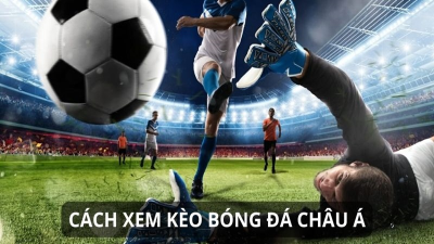 Chia Sẻ Về Cách Coi Kèo Bóng Đá Chuẩn Tại Sân Chơi Cá Cược